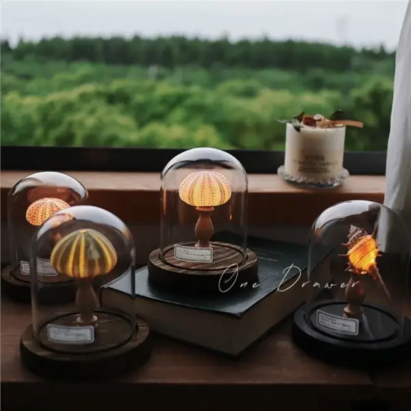 Natural Sea Urchin Night Light – Handcrafted Vintage Home Decor